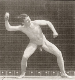 Plate 273 Baseball, pitching — figure reference
